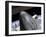 Space Shuttle Discovery Docked to the International Space Station-Stocktrek Images-Framed Photographic Print