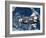 Space Shuttle Discovery-Stocktrek Images-Framed Photographic Print