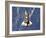 Space Shuttle Discovery-Stocktrek Images-Framed Photographic Print