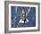 Space Shuttle Discovery-Stocktrek Images-Framed Photographic Print