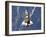 Space Shuttle Discovery-Stocktrek Images-Framed Photographic Print