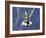 Space Shuttle Discovery-Stocktrek Images-Framed Photographic Print