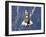 Space Shuttle Discovery-Stocktrek Images-Framed Photographic Print