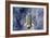 Space Shuttle Endeavor-Science Source-Framed Giclee Print