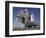 Space Shuttle Endeavour Atop a Mobile Launcher Platform at Kennedy Space Center-null-Framed Photographic Print