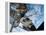 Space Shuttle Endeavour, Docked To the Destiny Laboratory of the International Space Station-Stocktrek Images-Framed Premier Image Canvas