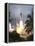 Space Shuttle Endeavour Launch Was the 57th Space Shuttle Mission, June 21,1993-null-Framed Stretched Canvas