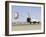 Space Shuttle Endeavour with its Drag Chute Deployed-Stocktrek Images-Framed Photographic Print