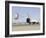 Space Shuttle Endeavour with its Drag Chute Deployed-Stocktrek Images-Framed Photographic Print