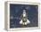 Space Shuttle Endeavour-Stocktrek Images-Framed Premier Image Canvas