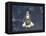 Space Shuttle Endeavour-Stocktrek Images-Framed Premier Image Canvas