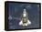 Space Shuttle Endeavour-Stocktrek Images-Framed Premier Image Canvas