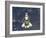 Space Shuttle Endeavour-Stocktrek Images-Framed Photographic Print