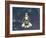 Space Shuttle Endeavour-Stocktrek Images-Framed Photographic Print