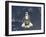 Space Shuttle Endeavour-Stocktrek Images-Framed Photographic Print