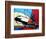 Space Shuttle Landing-Cindy Thornton-Framed Premium Giclee Print