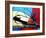 Space Shuttle Landing-Cindy Thornton-Framed Art Print