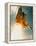 Space Shuttle Lifting Off-David Bases-Framed Premier Image Canvas