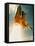 Space Shuttle Lifting Off-David Bases-Framed Premier Image Canvas