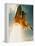 Space Shuttle Lifting Off-David Bases-Framed Premier Image Canvas