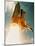 Space Shuttle Lifting Off-David Bases-Mounted Photographic Print
