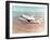 Space Shuttle Orbiter Mounted on Top of a Boeing 747 Carrier Aircraft, 1977-null-Framed Photographic Print