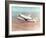 Space Shuttle Orbiter Mounted on Top of a Boeing 747 Carrier Aircraft, 1977-null-Framed Photographic Print