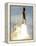 Space Shuttle-John Raoux-Framed Premier Image Canvas