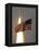 Space Shuttle-Paul Kizzle-Framed Premier Image Canvas