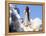 Space Shuttle-Terry Renna-Framed Premier Image Canvas