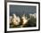 Space Shuttle-John Raoux-Framed Photographic Print