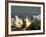 Space Shuttle-John Raoux-Framed Photographic Print