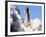 Space Shuttle-Terry Renna-Framed Photographic Print