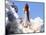 Space Shuttle-Terry Renna-Mounted Photographic Print