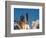 Space Shuttle-John Raoux-Framed Photographic Print