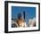 Space Shuttle-John Raoux-Framed Photographic Print