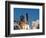 Space Shuttle-John Raoux-Framed Photographic Print