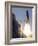 Space Shuttle-Terry Renna-Framed Photographic Print