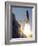 Space Shuttle-Terry Renna-Framed Photographic Print