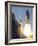 Space Shuttle-Terry Renna-Framed Photographic Print