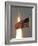 Space Shuttle-Paul Kizzle-Framed Photographic Print