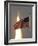 Space Shuttle-Paul Kizzle-Framed Photographic Print