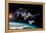 Space Station in Orbit around Earth with Space Shuttle-null-Framed Stretched Canvas