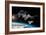 Space Station in Orbit around Earth with Space Shuttle-null-Framed Art Print