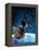 Space Station Orbiting Earth, Artwork-Victor Habbick-Framed Premier Image Canvas