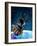 Space Station Orbiting Earth, Artwork-Victor Habbick-Framed Photographic Print