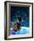 Space Station Orbiting Earth, Artwork-Victor Habbick-Framed Photographic Print