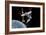 Space Tourism-Jose Antonio-Framed Photographic Print