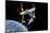 Space Tourism-Jose Antonio-Mounted Photographic Print