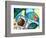 Space Walk-Cindy Thornton-Framed Premium Giclee Print